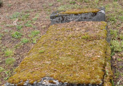 Perštejn, Omnium, 2020