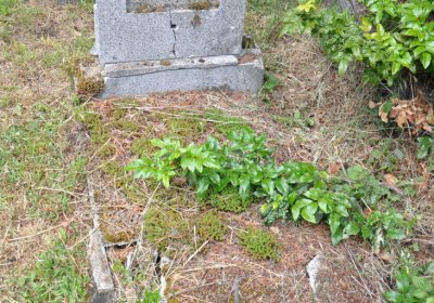 Perštejn, Omnium, 2020