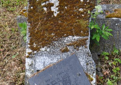 Perštejn, Omnium, 2020