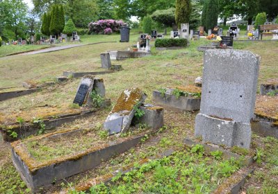 Perštejn, Omnium, 2020