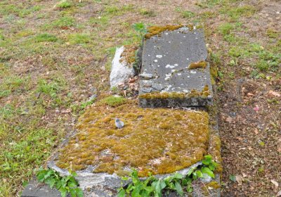 Perštejn, Omnium, 2020