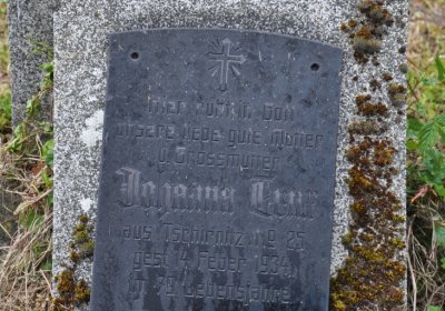 Perštejn, Omnium, 2020