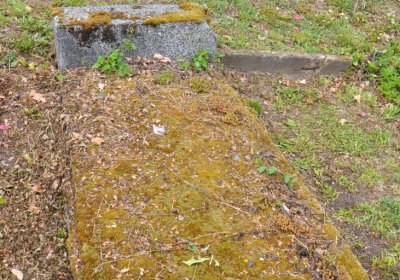 Perštejn, Omnium, 2020