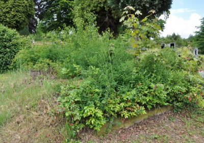 Perštejn, Omnium, 2020