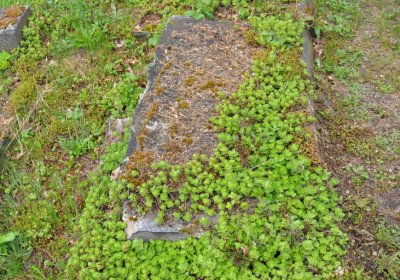 Perštejn, Omnium, 2020