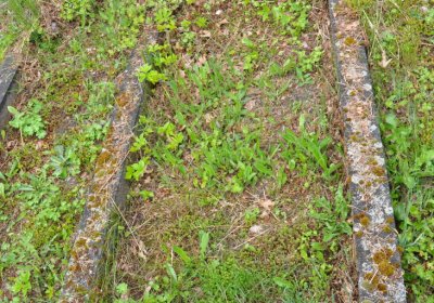 Perštejn, Omnium, 2020