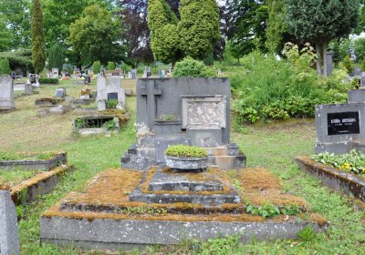 Perštejn, Omnium, 2020