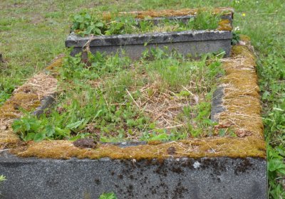 Perštejn, Omnium, 2020