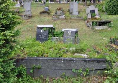 Perštejn, Omnium, 2020