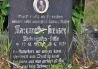 Perštejn, Omnium, 2020