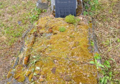 Perštejn, Omnium, 2020