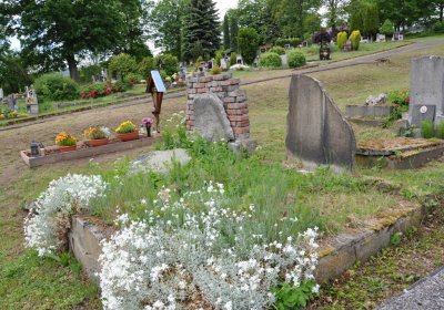 Perštejn, Omnium, 2020