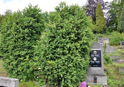 Perštejn, Omnium, 2020