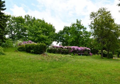 Perštejn, Omnium, 2020