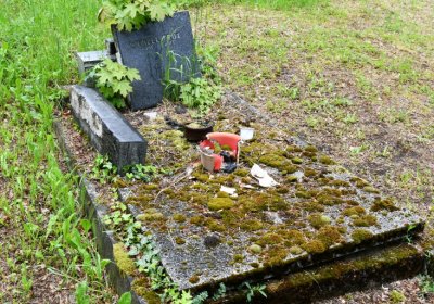 Perštejn, Omnium, 2020