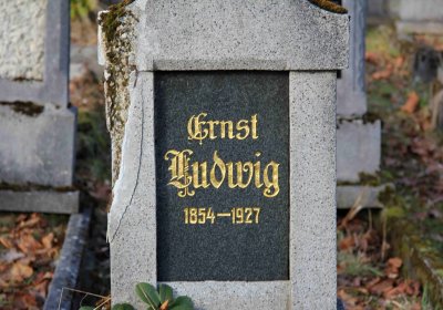 Brezina Peter, 2016