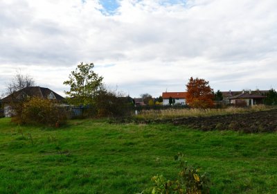 Údlice starý židovský hřbitov, Omnium, 2020