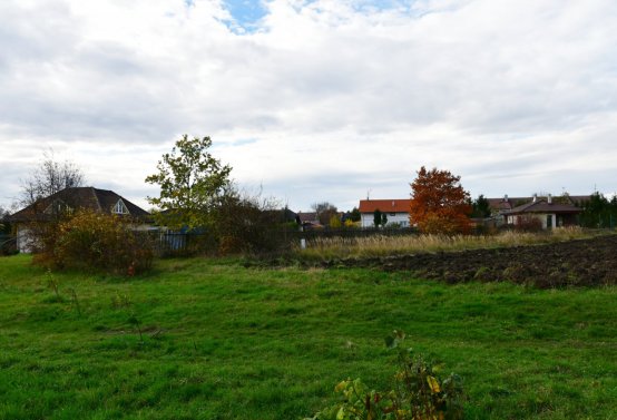 Údlice starý židovský hřbitov, Omnium, 2020