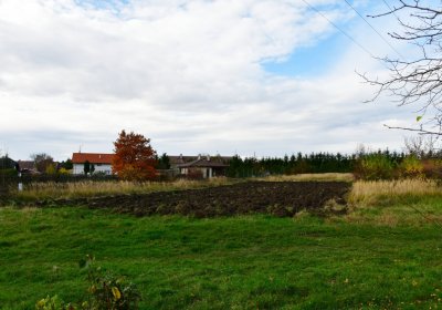 Údlice starý židovský hřbitov, Omnium, 2020