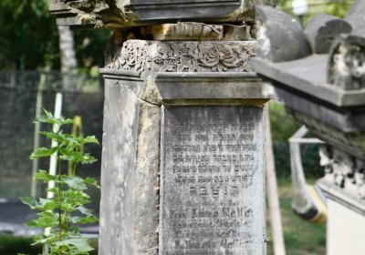 Most - židovský, Omnium, 2018