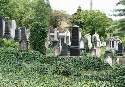 Most - židovský, Omnium, 2018