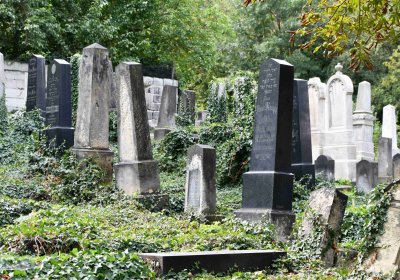 Most - židovský, Omnium, 2018