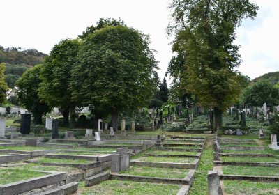 Most - židovský, Omnium, 2018