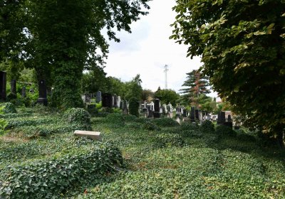 Most - židovský, Omnium, 2018