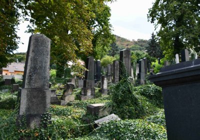 Most - židovský, Omnium, 2018