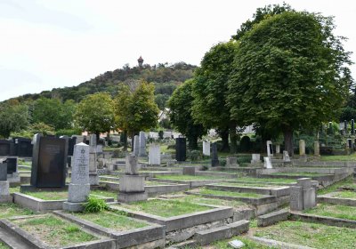 Most - židovský, Omnium, 2018