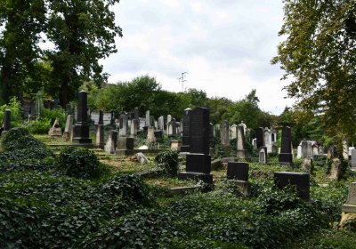 Most - židovský, Omnium, 2018