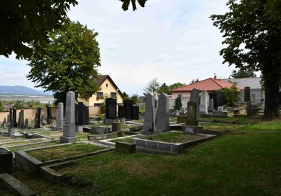 Most - židovský, Omnium, 2018