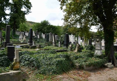 Most - židovský, Omnium, 2018