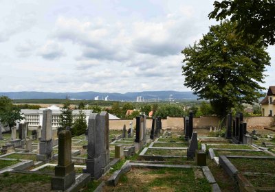 Most - židovský, Omnium, 2018