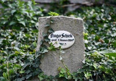 Most - židovský, Omnium, 2018