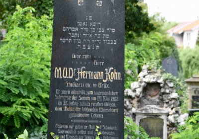 Most - židovský, Omnium, 2018