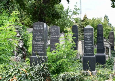 Most - židovský, Omnium, 2018