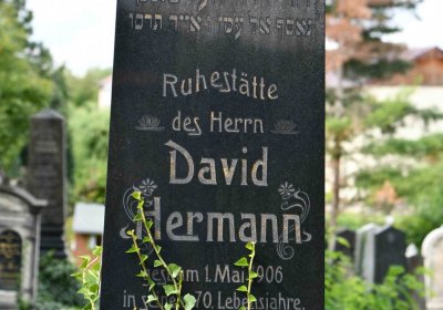 Most - židovský, Omnium, 2018