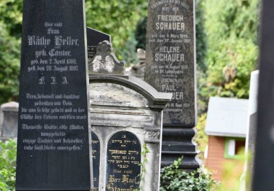 Most - židovský, Omnium, 2018