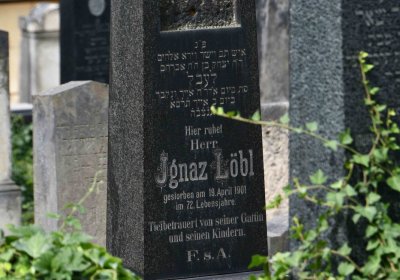 Most - židovský, Omnium, 2018