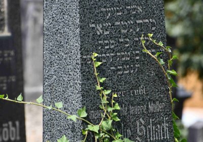 Most - židovský, Omnium, 2018