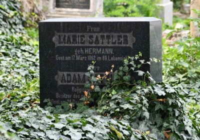 Most - židovský, Omnium, 2018