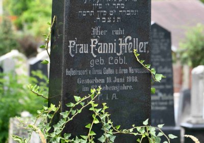 Most - židovský, Omnium, 2018