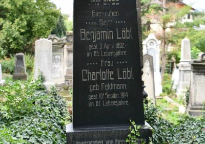 Most - židovský, Omnium, 2018