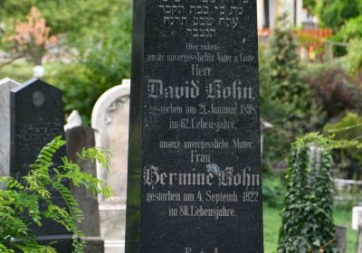 Most - židovský, Omnium, 2018