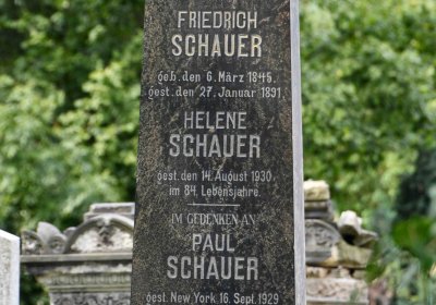 Most - židovský, Omnium, 2018