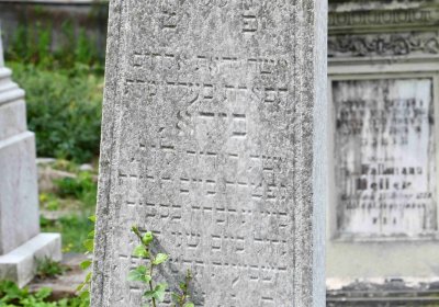 Most - židovský, Omnium, 2018