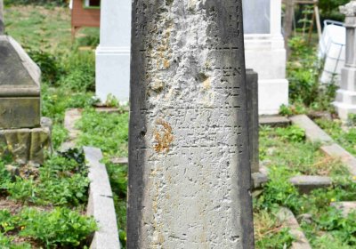 Most - židovský, Omnium, 2018