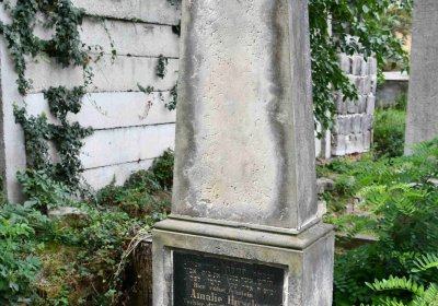 Most - židovský, Omnium, 2018