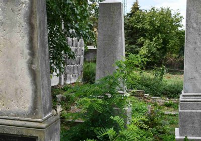 Most - židovský, Omnium, 2018